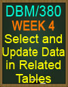 DBM/380 Select and Update Data in Related Tables